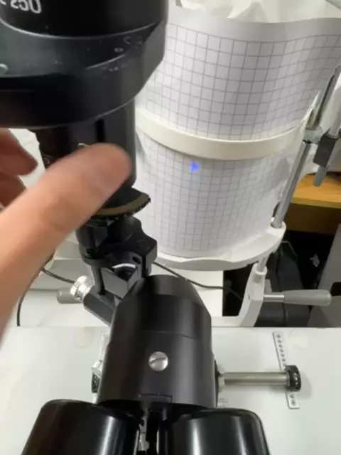 s-l1600 - 2025-03-15T140955.573