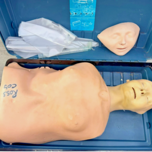 Laerdal Resusci Anne CPR training manikin torso