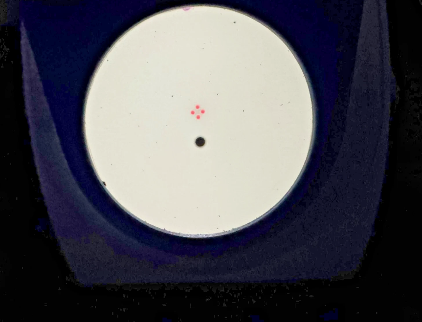 Oculus Easyfield Visual Field Analysis Perimeter - Image 9